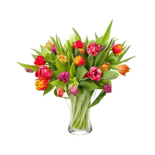 25 gemengde tulpen