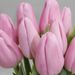 Brievenbus Roze Tulpen