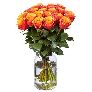 20 roses orange (50 cm)