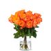 20x oranje rozen (40cm)