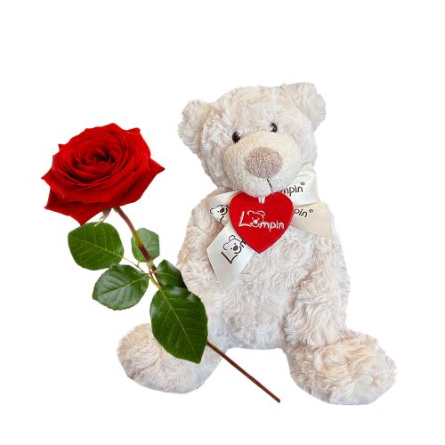 Eine rote Rose mit Teddybär