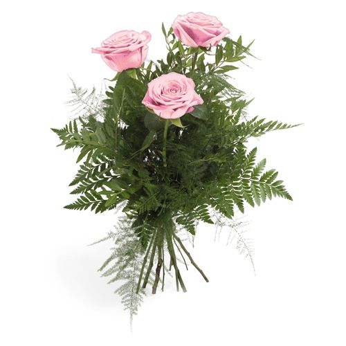 3 rosafarbene Rosen