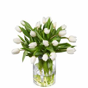 White tulip bouquet