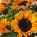 Bouquet du mois de juillet