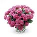 Rosa Rosen in Vollendung