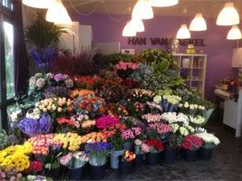 Winkel van Bloemenhandel Han van Baekel Heemstede